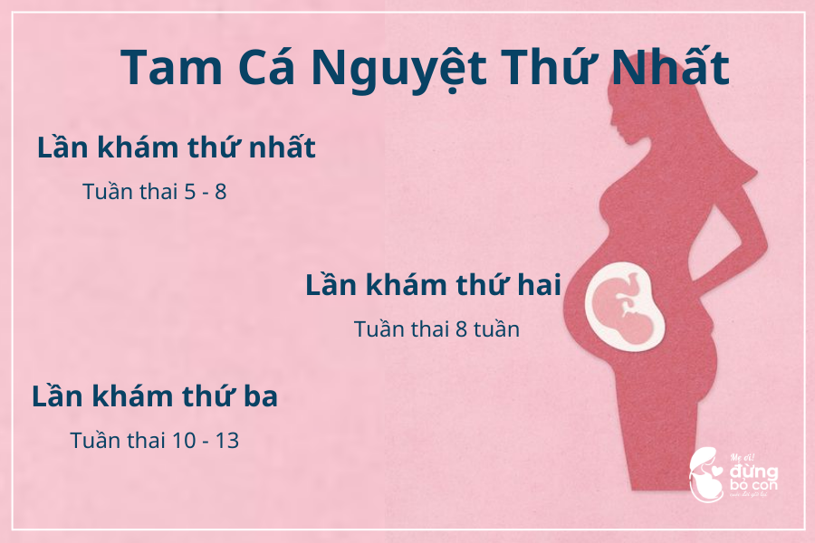 Lịch Khám Thai Định Kỳ Đầy Đủ Trong Suốt Giai Đoạn Thai Kỳ