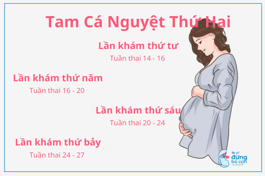 Lịch Khám Thai Định Kỳ Đầy Đủ Trong Suốt Giai Đoạn Thai Kỳ