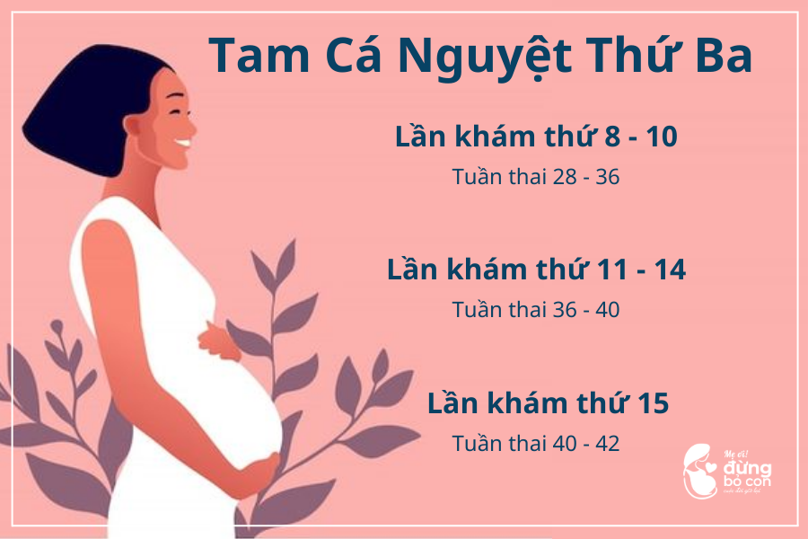 Lịch Khám Thai Định Kỳ Đầy Đủ Trong Suốt Giai Đoạn Thai Kỳ