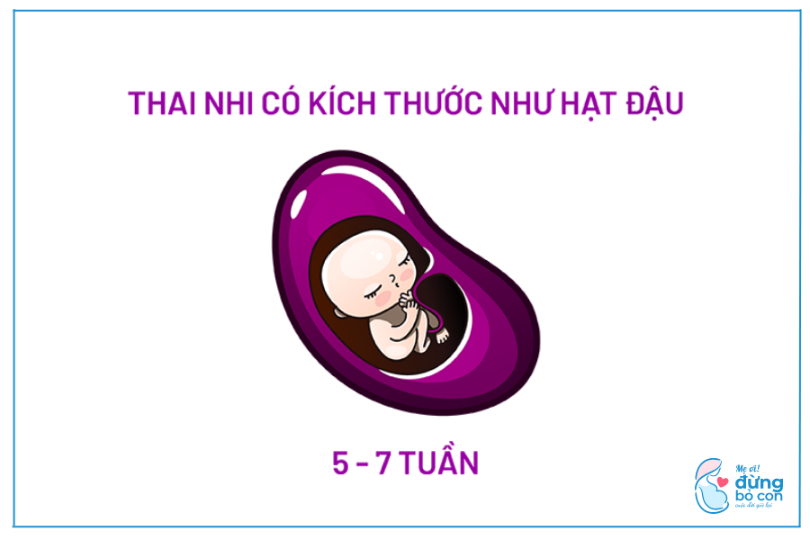 Phá Thai Bằng Thuốc Có Nguy Hiểm Không? Hậu Quả Sau này